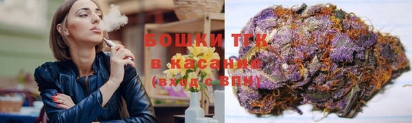 стаф Богородск