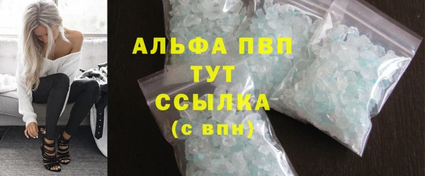 PSILOCYBIN Богданович