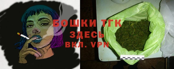 стаф Богородск