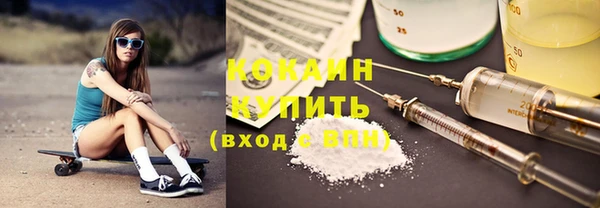 мдпв Богородицк