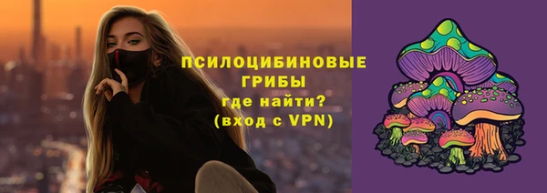 PSILOCYBIN Богданович