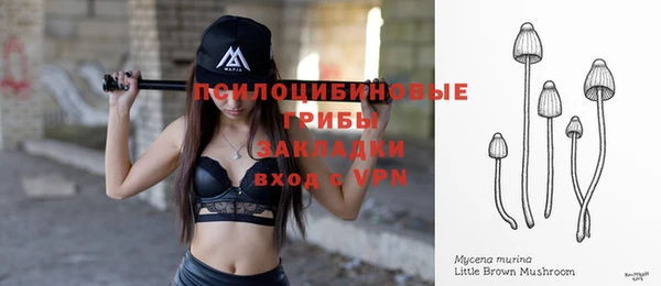 мдпв Богородицк