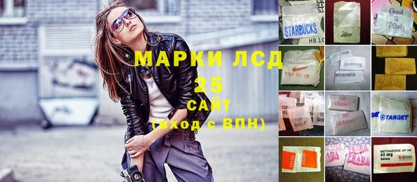 мдпв Богородицк