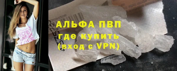 PSILOCYBIN Богданович