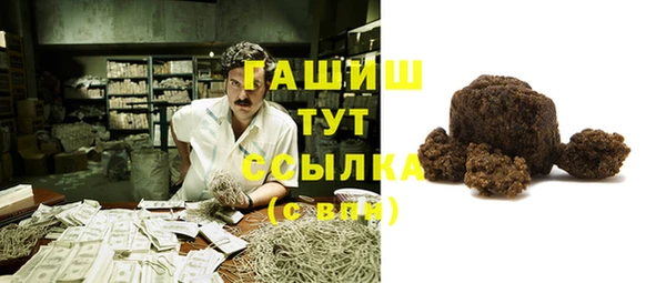 мдпв Богородицк