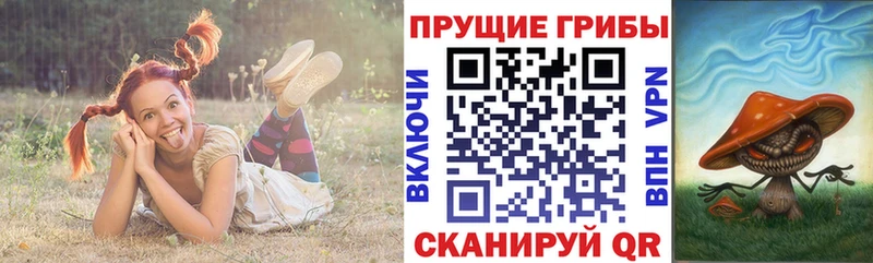 omg вход  нарко площадка как зайти  Псилоцибиновые грибы Psilocybine cubensis  Новороссийск 